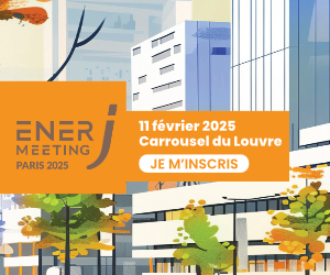 Affiche de l'édition 2025 de la journée EnerJ-meeting au Carrousel du Louvre de Paris le 11 février